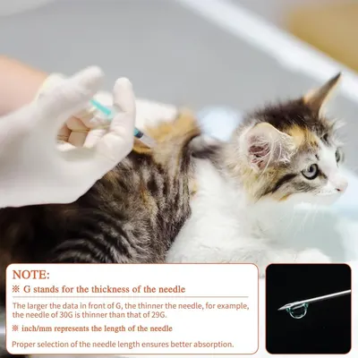 Educates pet owners on how to select the correct needle gauge and length for their pet's medication, ensuring proper administration and better absorption.
