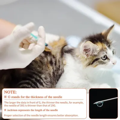 Educates pet owners on how to properly select and use needles for pet injections, explaining needle gauge and length specifications to ensure safe and effective administration. Reassures customers…