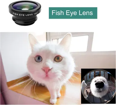 Demonstrates the fish eye lens effect by showing the product and its result—a wide-angle, distorted photo of a pet—to help shoppers understand the creative photography capability this lens…