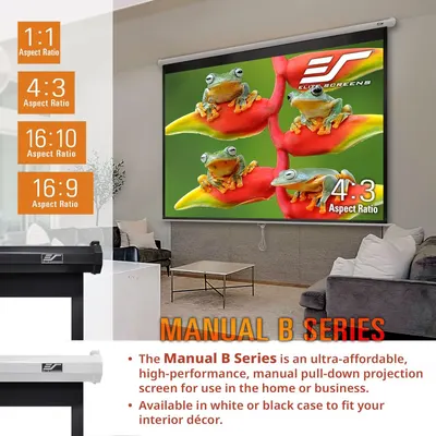 Communicates multiple product benefits including versatile aspect ratio options (1:1, 4:3, 16:10, 16:9), manual pull-down functionality, affordability, high performance, and available color choices…