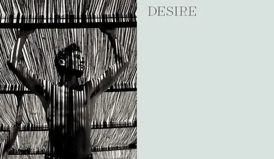 This image establishes brand identity and emotional positioning through artistic, high-fashion imagery paired with the word DESIRE, creating an aspirational and sophisticated brand perception.