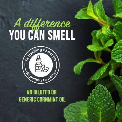 Communicates that this product uses undiluted, premium cornmint oil that is refreshing to people and repelling to pests, differentiating it from diluted or generic alternatives. Highlights the…