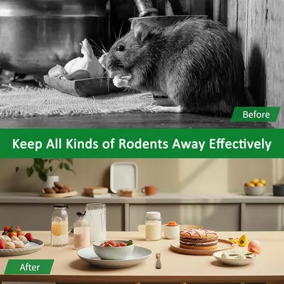 Demonstrates the product's effectiveness by showing a rodent-infested kitchen before use and a clean, rodent-free kitchen after use, proving the product delivers on its pest control promise.
