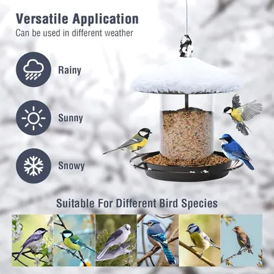 Demonstrates the bird feeder's versatility by showing it works in multiple weather conditions (rainy, sunny, snowy) and attracts various bird species, reassuring shoppers of its year-round…