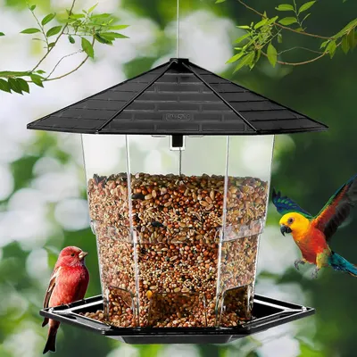 Demonstrates the bird feeder in a natural outdoor setting with birds actively using it, helping shoppers visualize the product in real-world use and its appeal to wildlife.