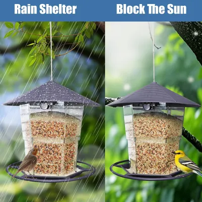 Demonstrates the bird feeder's versatility by showing it functions effectively in two different weather conditions—protecting bird seed from rain and providing shade from sun. Highlights the…