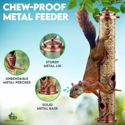 Highlights the physical components and durable metal construction of the bird feeder to reassure shoppers that it is squirrel-proof and built to last.