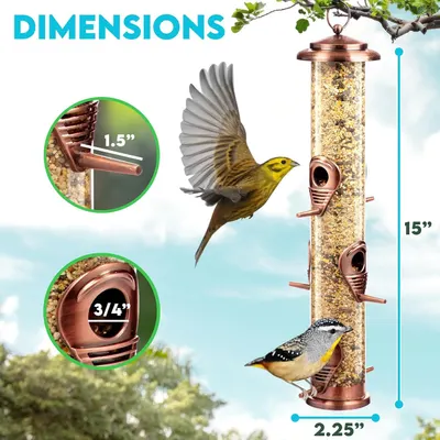 Communicates the exact physical dimensions of the bird feeder (15" height, 2.25" width, 1.5" perch depth, 3/4" port size) to help shoppers understand the product's size and capacity before purchase.
