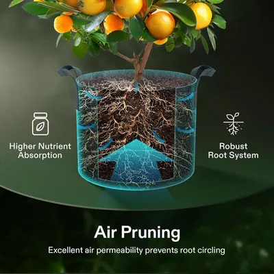 This image demonstrates how the planter's design enables air pruning technology, which promotes healthier root development, prevents root circling, and enhances nutrient absorption for better plant…