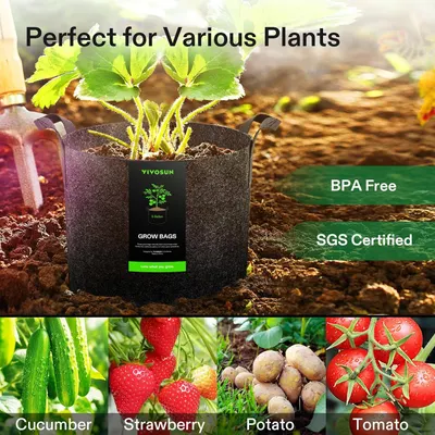 Demonstrates that the grow bags are suitable for multiple types of plants (cucumber, strawberry, potato, tomato), reassuring shoppers of the product's versatility across different gardening…