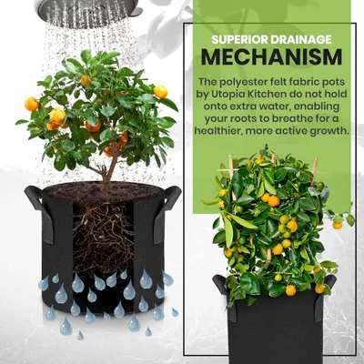 Communicates that the polyester felt fabric pots enable superior drainage and root breathability, promoting healthier plant growth by preventing water retention.