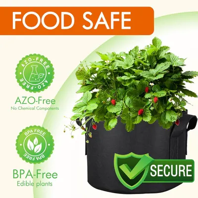 Reassures shoppers that the product is safe for growing edible plants by highlighting its food-safe, chemical-free, and BPA-free certifications. Communicates multiple safety and quality benefits in…
