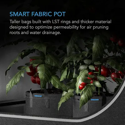 Communicates the specialized fabric pot construction with LST rings and thicker material that promotes healthy root growth through air pruning and proper drainage.