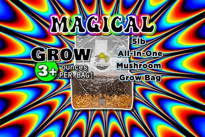 Communicates the product's capacity (5lb) and performance yield (3+ ounces per bag) to help shoppers understand the quantity and output they can expect from this mushroom grow bag. Highlights the…