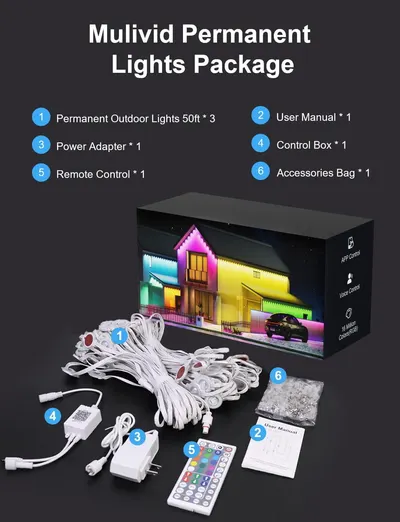 Shows all components included in the purchase (lights, power adapter, control box, remote, user manual, and accessories bag) to help shoppers understand the complete value and what they will receive.