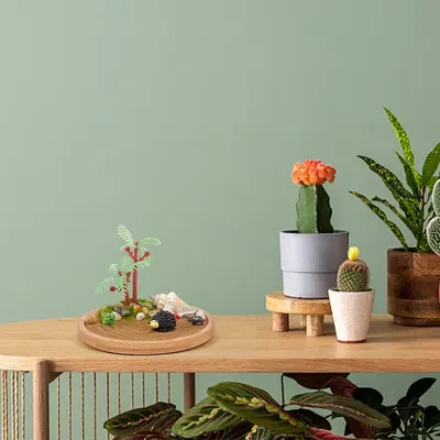 Demonstrates how the product fits naturally into a modern home environment, showing its aesthetic appeal and decorative use alongside other plants and home accessories.