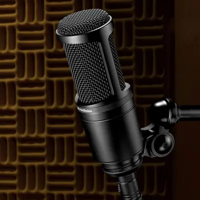 Displays the professional microphone in a clean, catalog-style presentation against a neutral background to showcase the product's premium design and build quality.