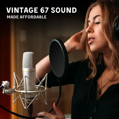 Communicates that the microphone delivers premium vintage sound quality at an accessible price point, appealing to budget-conscious musicians and content creators.