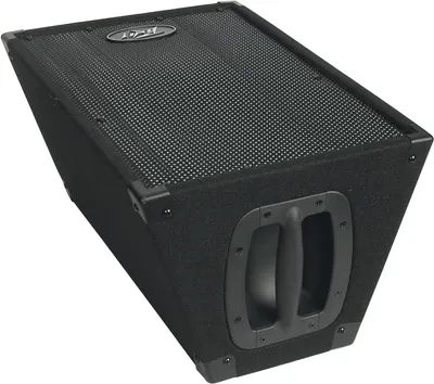 Provides a clear, unobstructed view of the speaker/monitor product from an angled perspective to show its physical form, construction, and design details.