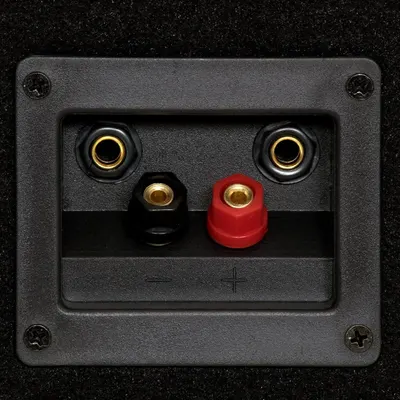 Shows the physical connection ports and terminals of the speaker system, helping shoppers understand the input/output options and how to connect their audio equipment.