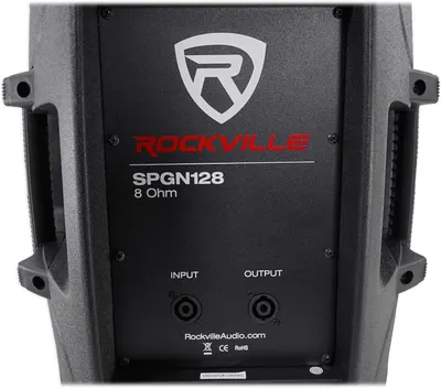 Provides a clean, catalog-style view of the Rockville SPGN128 speaker showing the product's physical appearance, branding, model number, and input/output connections without any distracting elements.