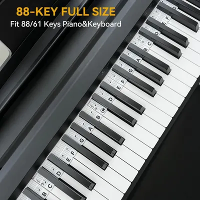 Communicates that this product is designed to fit full-size 88-key pianos and keyboards, as well as 61-key models, reassuring shoppers about compatibility with their instrument. Shows which types of…