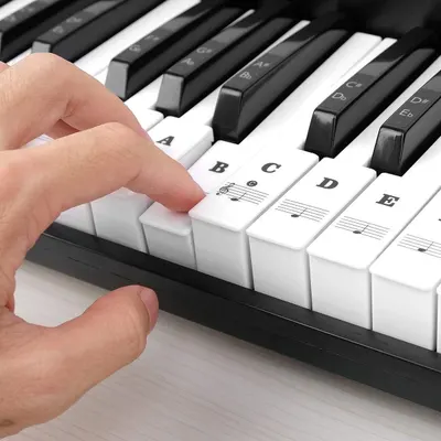 Demonstrates that the piano keyboard includes labeled keys with note names and musical notation to help beginners learn piano more easily.