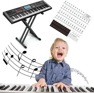 Shows everything included in the package: the keyboard, adjustable stand, and learning stickers to help beginners identify keys and learn music.