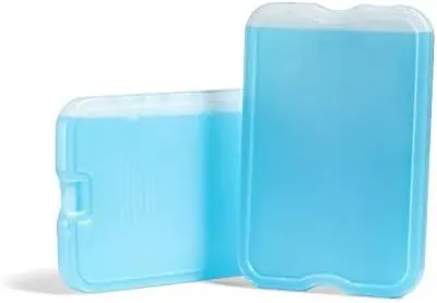 Displays the product clearly on a white background to show the physical appearance and size of the two ice packs included.