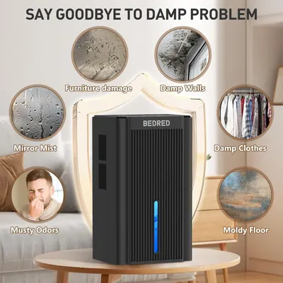Demonstrates the multiple damp-related problems the dehumidifier solves, including furniture damage, damp walls, mirror mist, musty odors, damp clothes, and moldy floors, reassuring shoppers of its…