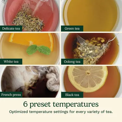 Demonstrates the product's versatility by showing it can brew 6 different types of tea (Delicate, Green, White, Oolong, French Press, Black) with optimized temperature settings for each variety,…