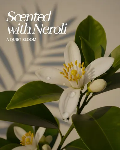 Highlights the product's signature Neroli fragrance to communicate a premium, natural scent experience and evoke a sense of calm elegance.
