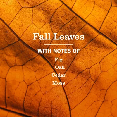 Communicates the seasonal autumn theme and scent notes of the product to appeal to shoppers looking for fall-themed fragrances. Highlights the specific fragrance notes (Fig, Oak, Cedar, Moss) to…