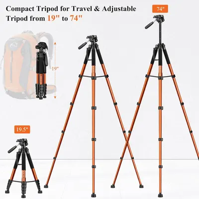 Demonstrates the tripod's adjustable height range from 19 inches to 74 inches and its compact folded size, reassuring shoppers about its versatility and portability for travel. Highlights the key…