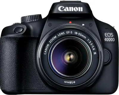 Provides a clean, catalog-style product image showing the Canon EOS 4000D camera with lens, allowing shoppers to clearly see the product's appearance and design without distractions.