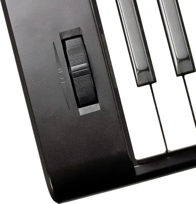 Highlights the sustain pedal component of the keyboard to show shoppers that the instrument includes this essential piano-style control feature.