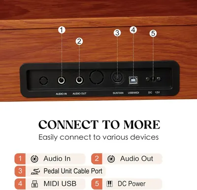 This image breaks down the product's physical connection ports and components, helping shoppers understand what devices and accessories can be connected to the product. Communicates the product's…