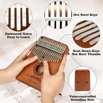 This image breaks down the kalimba's key physical components and design features, using zoom circles and callout lines to highlight embossed learning notes, steel key material, ergonomic bent keys,…