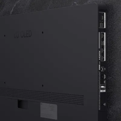 Shows the back panel of the LG OLED TV with all available ports and connections, helping shoppers understand the connectivity options and technical specifications of the product.