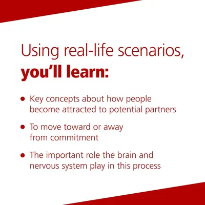 Communicates multiple learning outcomes from using the product, highlighting that it teaches key relationship concepts, decision-making skills, and the neuroscience behind attraction and commitment.
