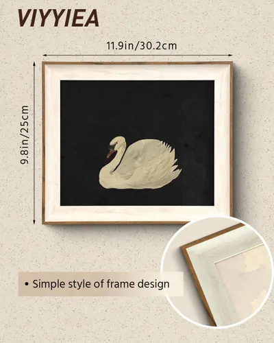 Communicates the exact physical dimensions of the framed product (11.9in x 9.8in / 30.2cm x 25cm) to help shoppers understand the size before purchase. Highlights the simple, elegant frame design…