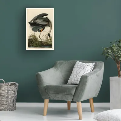 Demonstrates how the framed bird print looks when displayed in a real living space, helping shoppers visualize the product in their own home.