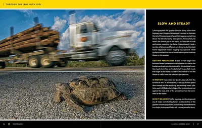 This image educates photographers on how to capture compelling wildlife conservation images by explaining camera techniques like shutter speed, lens choice, perspective, and fill flash to create…