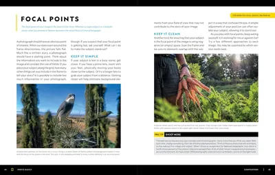 This image educates photographers on how to identify and use focal points in their photography, demonstrating composition principles through example photos and instructional text.