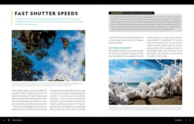 This image teaches photographers how to use fast shutter speeds to freeze action and capture moving subjects like butterflies and water, providing instructional guidance on technique and settings.