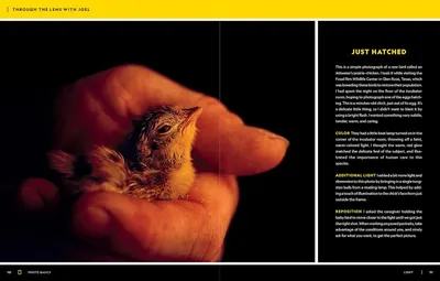 This image educates the shopper on photography techniques, specifically how to use color, additional light, and repositioning to capture delicate subjects with warmth and care.
