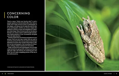 This image serves as a chapter opener for a photography book, establishing the brand's educational authority and introducing the topic of color theory in photography.