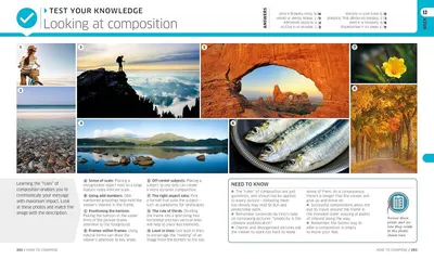 This image teaches photographers the rules of composition through multiple visual examples and instructional text, helping them understand how to frame and structure their photos for maximum impact.