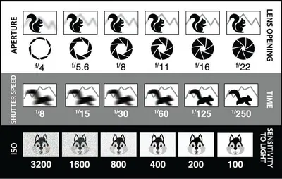 This educational chart demonstrates how three key camera settings (aperture, shutter speed, and ISO) affect image quality, helping photographers understand the technical controls and their visual…