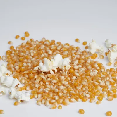 Demonstrates the product's transformation capability, showing unpopped kernels alongside fully popped popcorn to illustrate the end result and quality of the popping process.